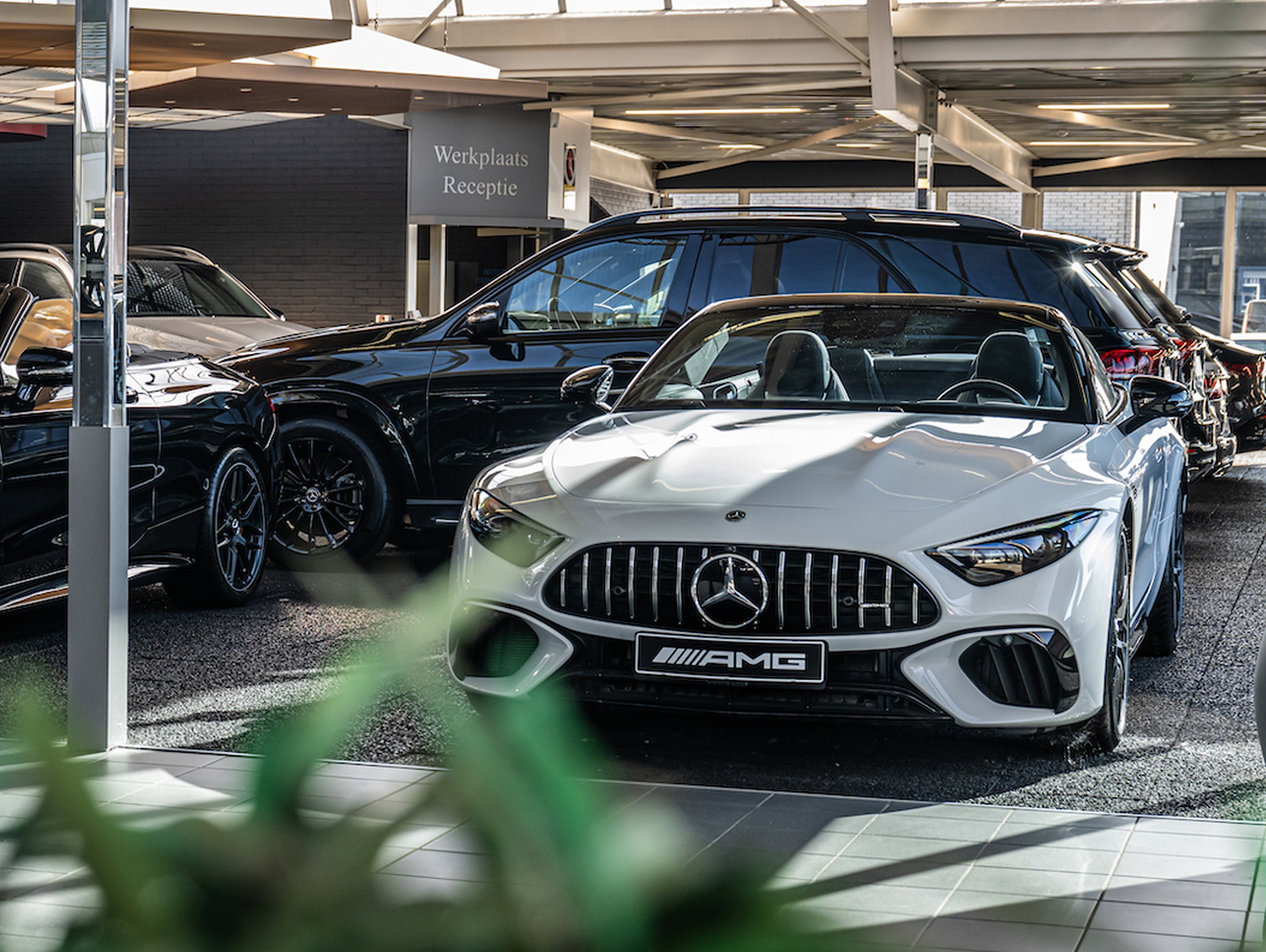 Content 6_content_image_1766489057828748104.jpg Verzekering | DMC Automotive