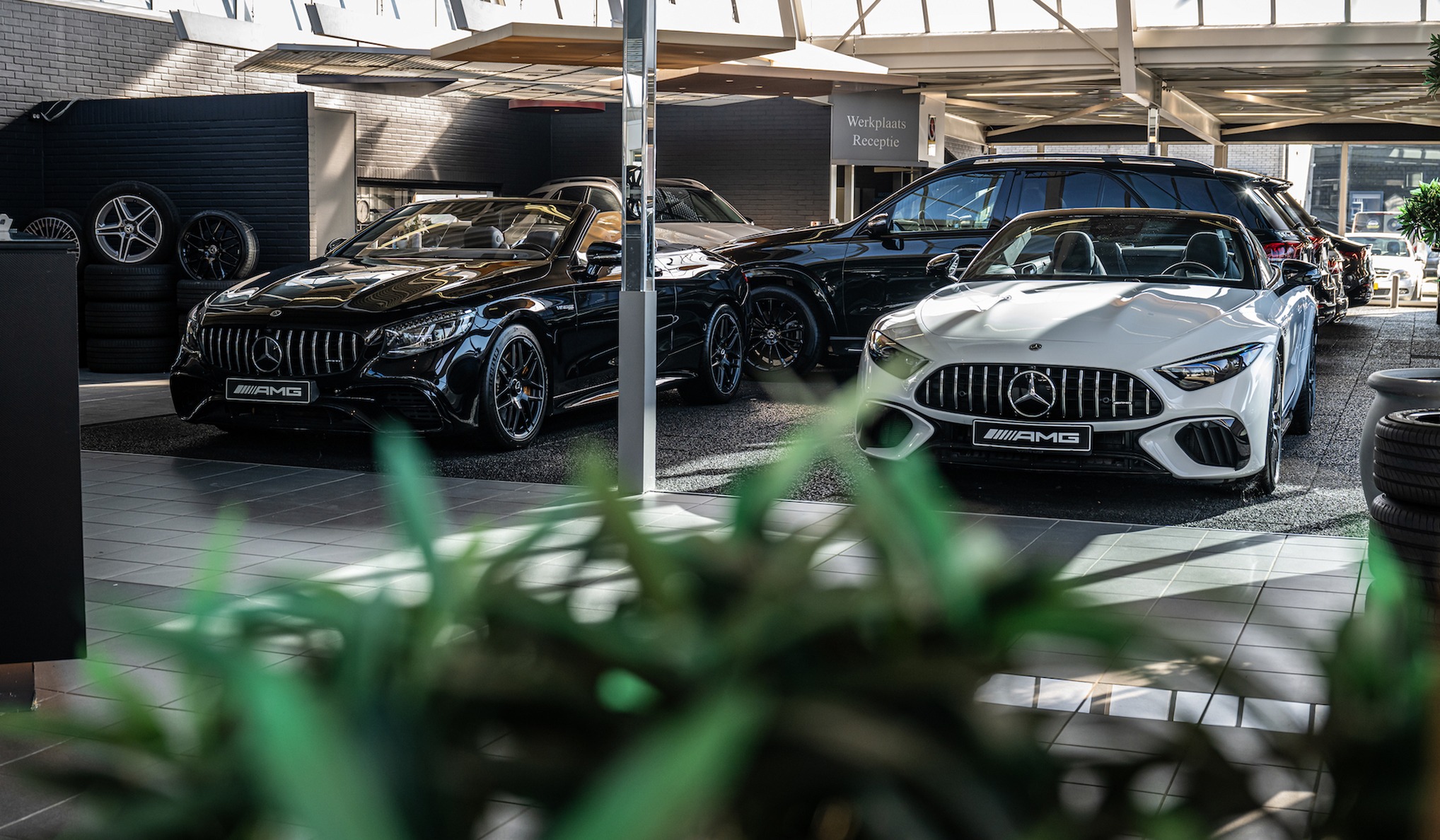 Common Image dinesten_images_1766488997.jpg Verzekering | DMC Automotive